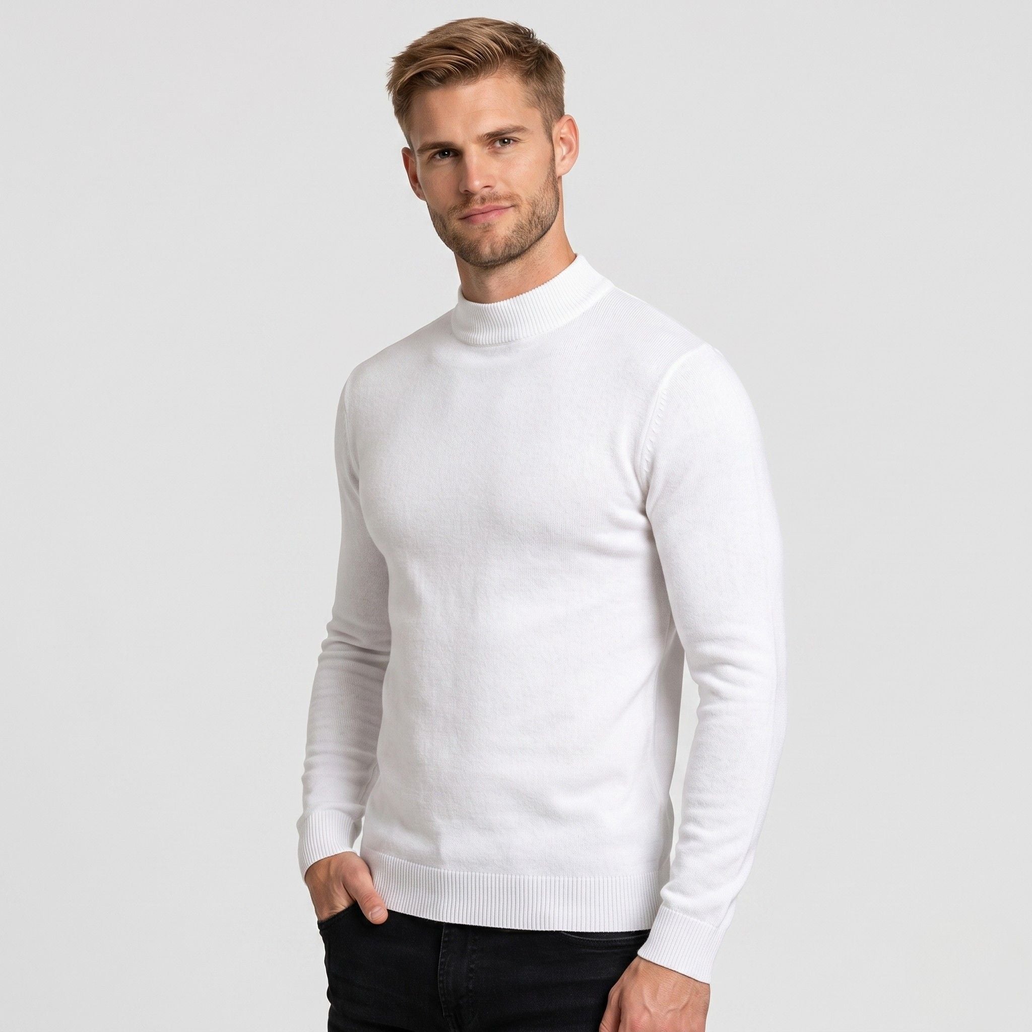 Men's Jumper Mock Neck Regular Fit