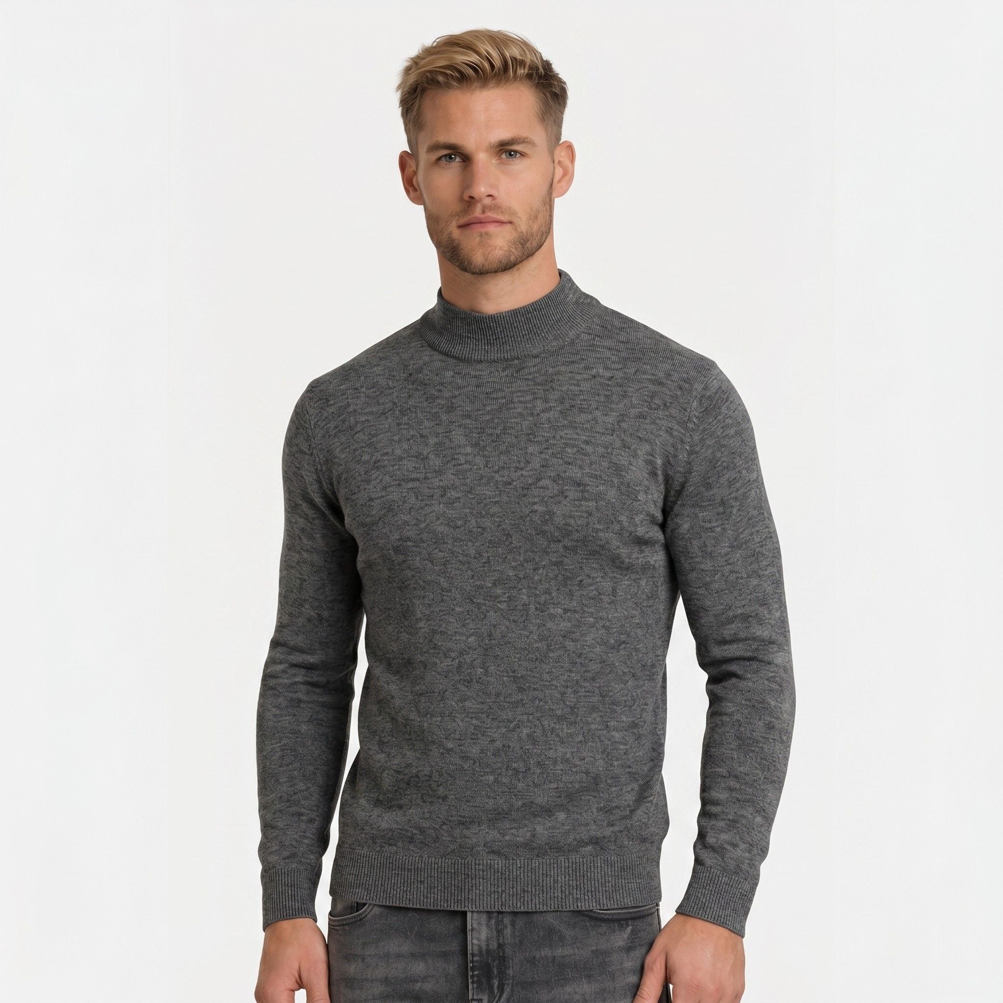 Men's Jumper Mock Neck Regular Fit